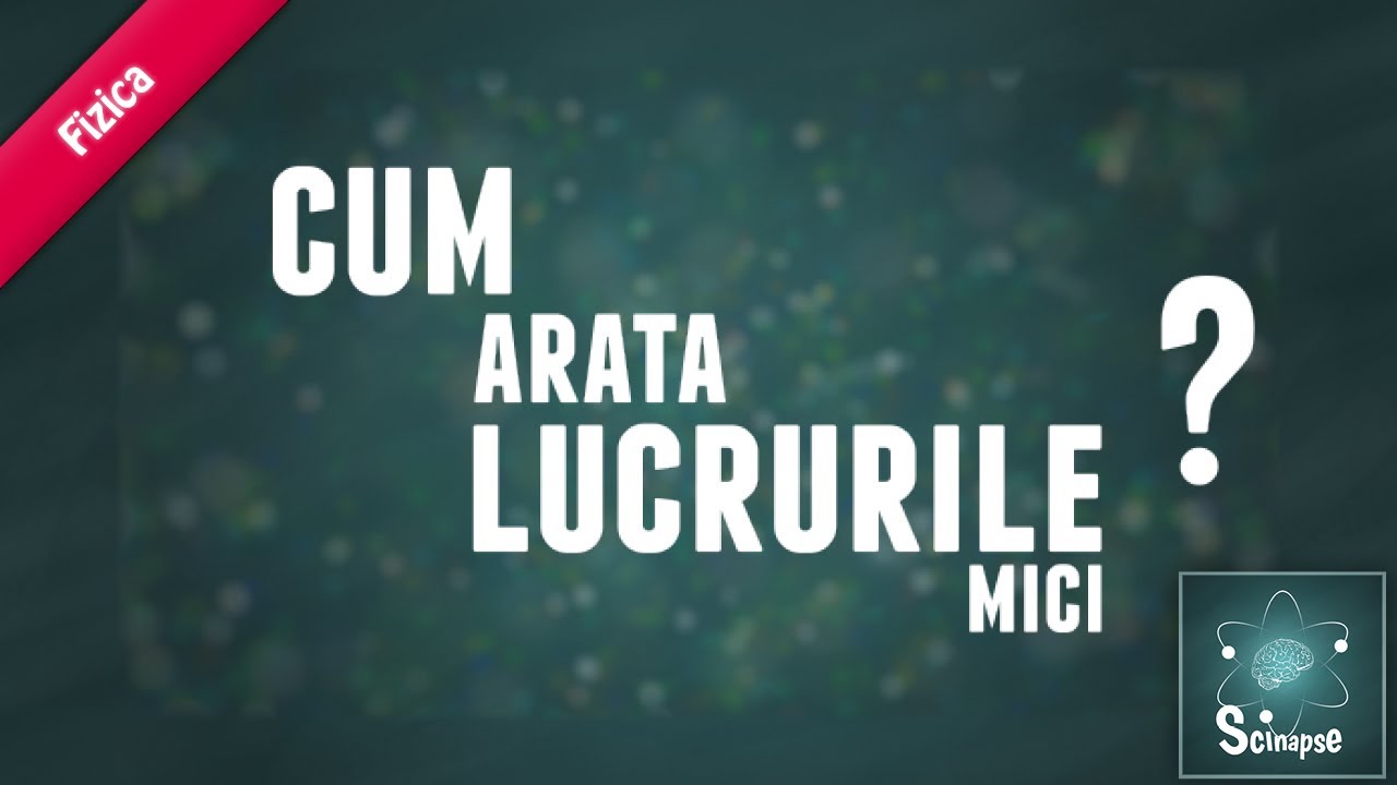 Cum Arata Lucrurile Mici ?