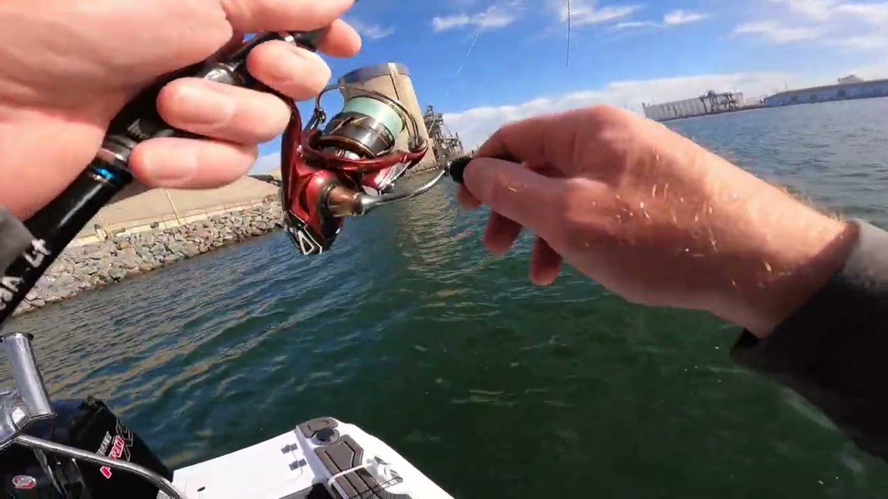 Port River Bream Fishing