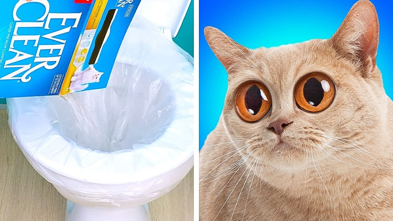 26 TRUCOS PARA EL BAÑO y soluciones a tus problemas delicados
