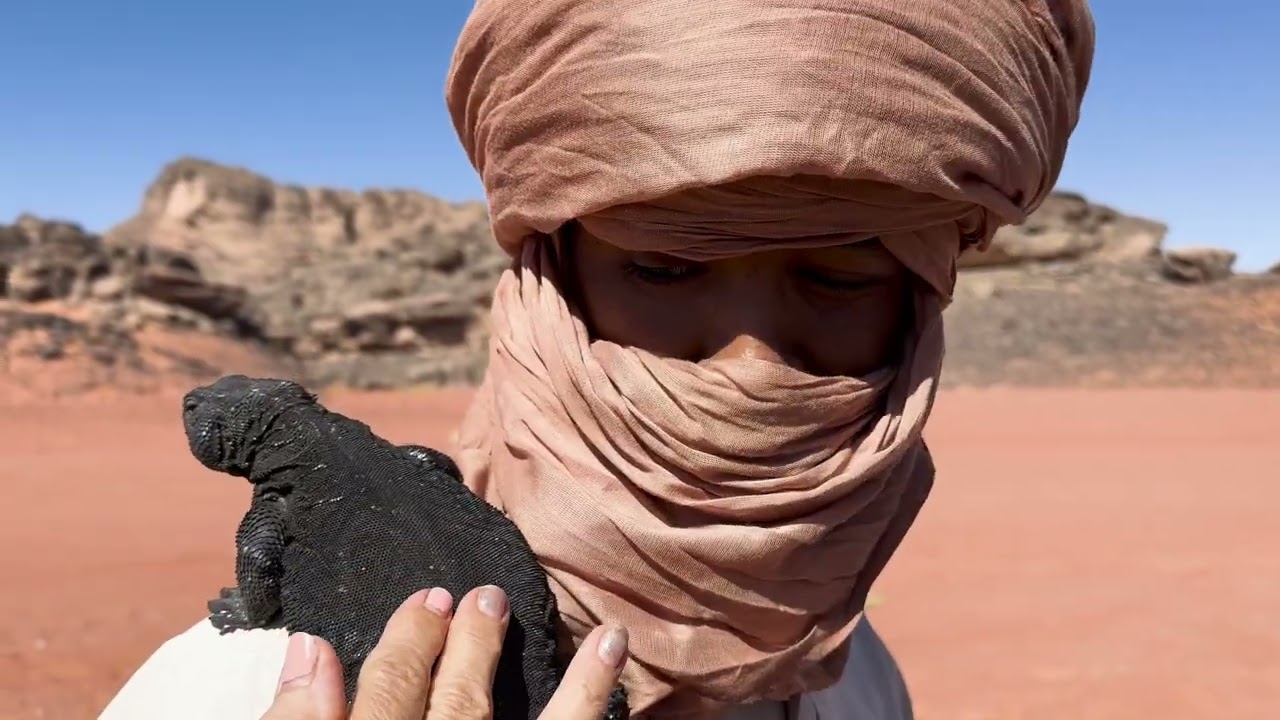 Deserto del Sahara. Algeria tra Asskrem e Tadrart