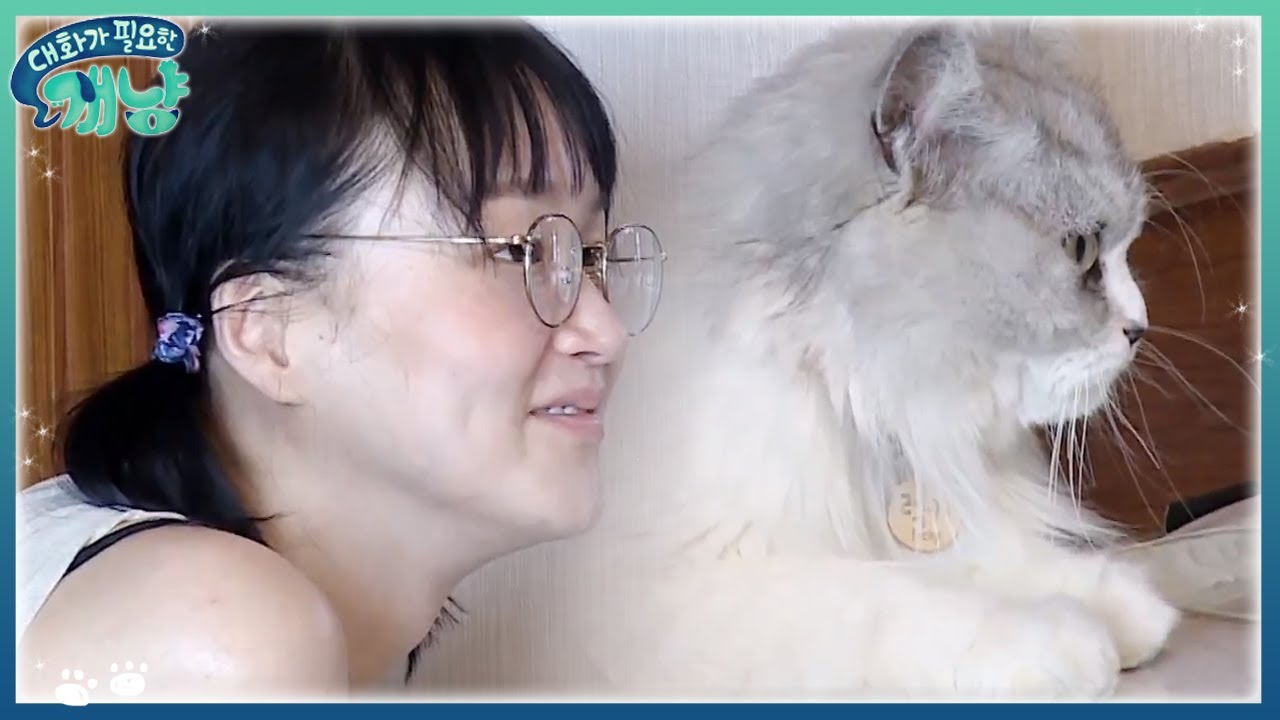 고양이와 이혜정을 진정시키는 영상 | #대화가필요한개냥 EP1 #09