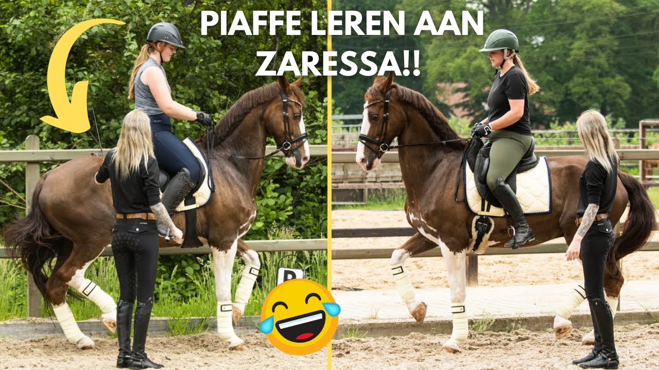 ZARESSA de PIAFFE leren op dressuur tuiger Santos! | Purarazadivino VLOG #18