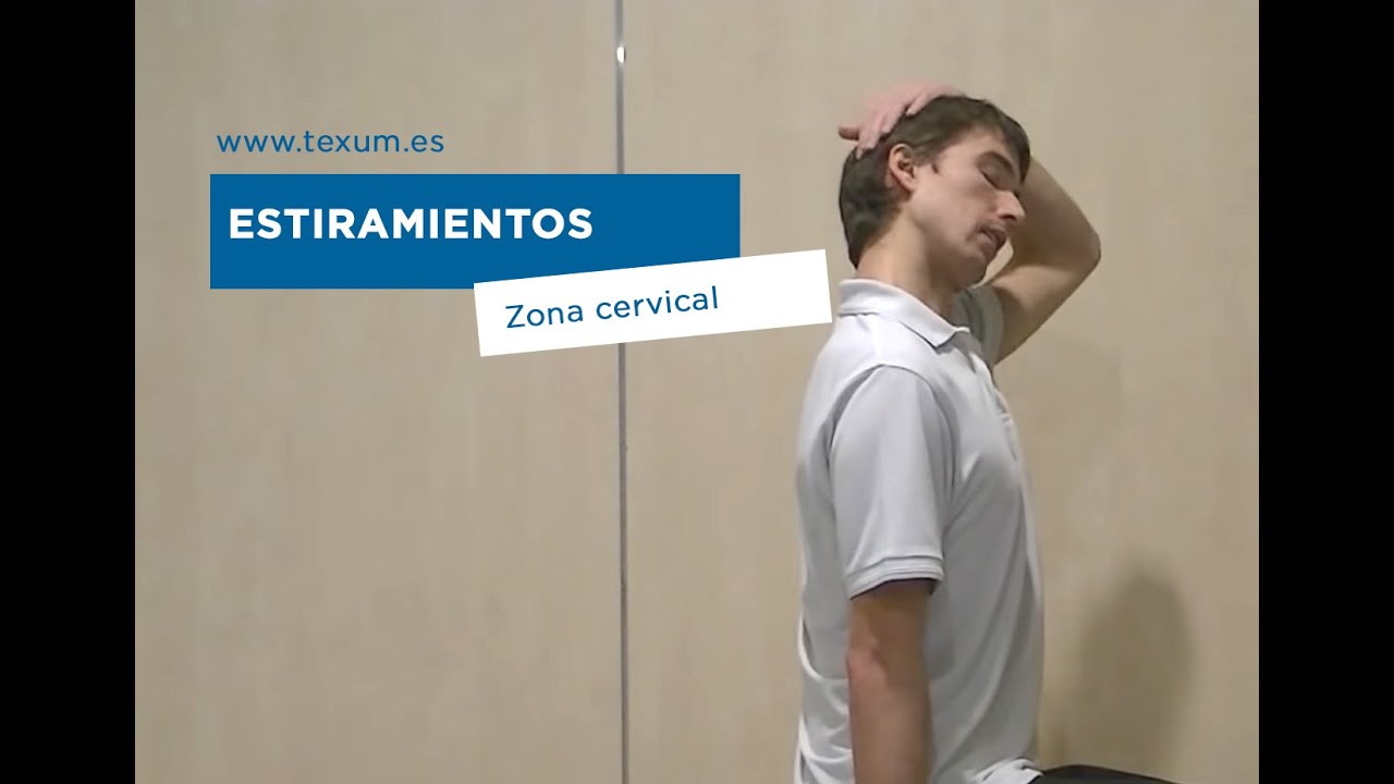 Estiramientos de la Zona Cervical. El trapecio