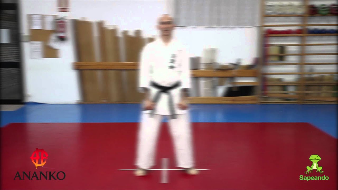 Pinan Shodan - Karate-Do