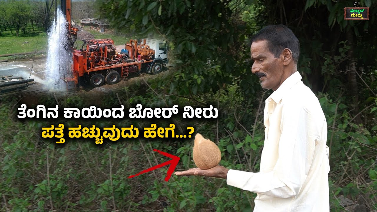 ತೆಂಗಿನ ಕಾಯಿಂದ 