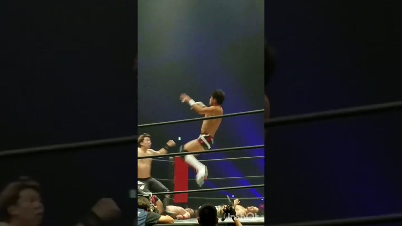 冨永さんのドロップキック #ganpro #prowrestling