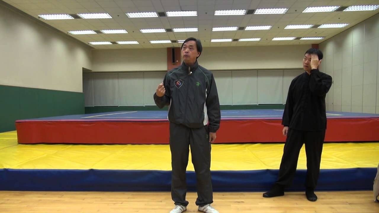 香港武術聯會 - 武術賢聚會 - 精武基本十套與傳統武術結構的關係
