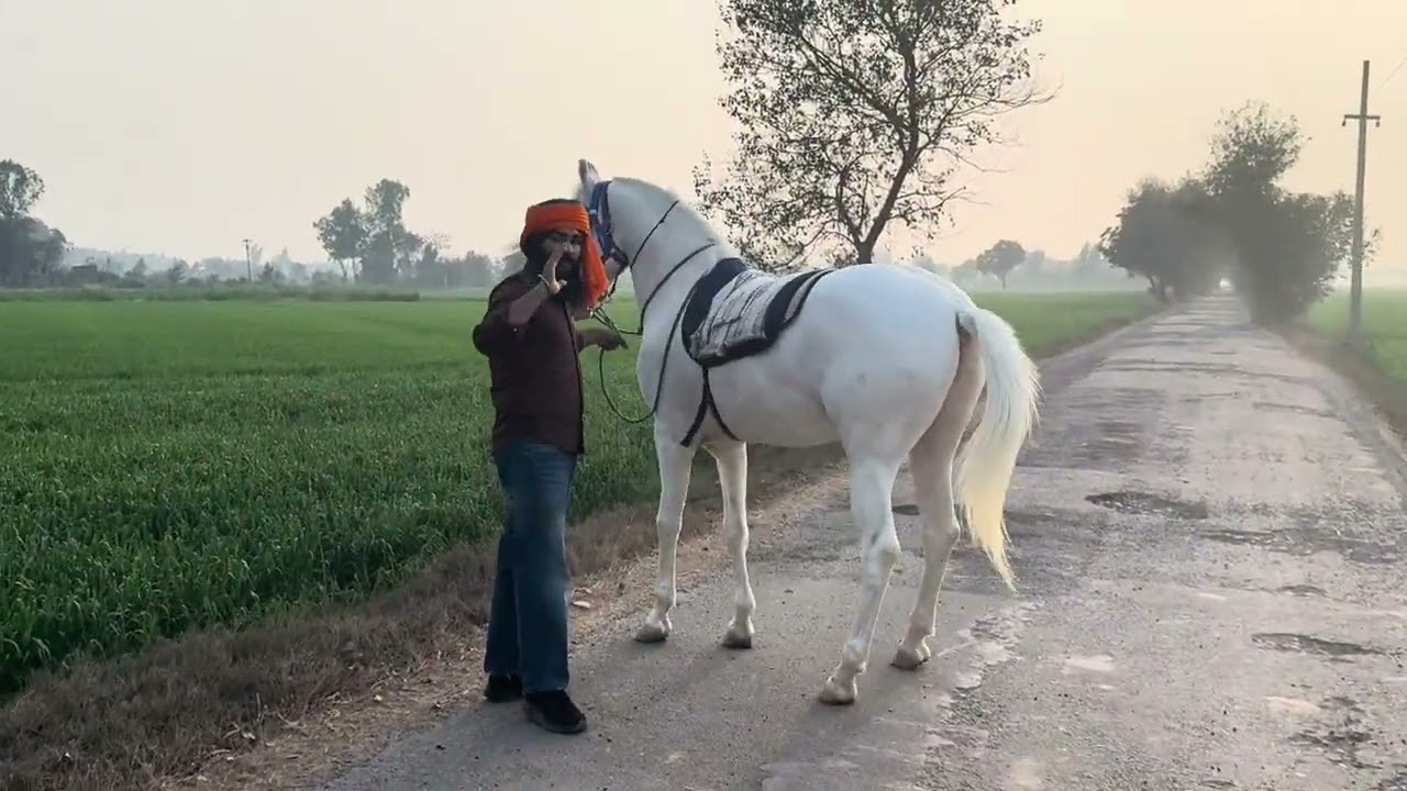 GULBAGH🏆first ride At the farm⛳️ 
