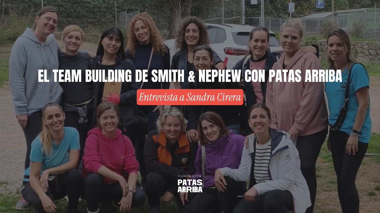 El team building de Smith & Nephew con Patas Arriba