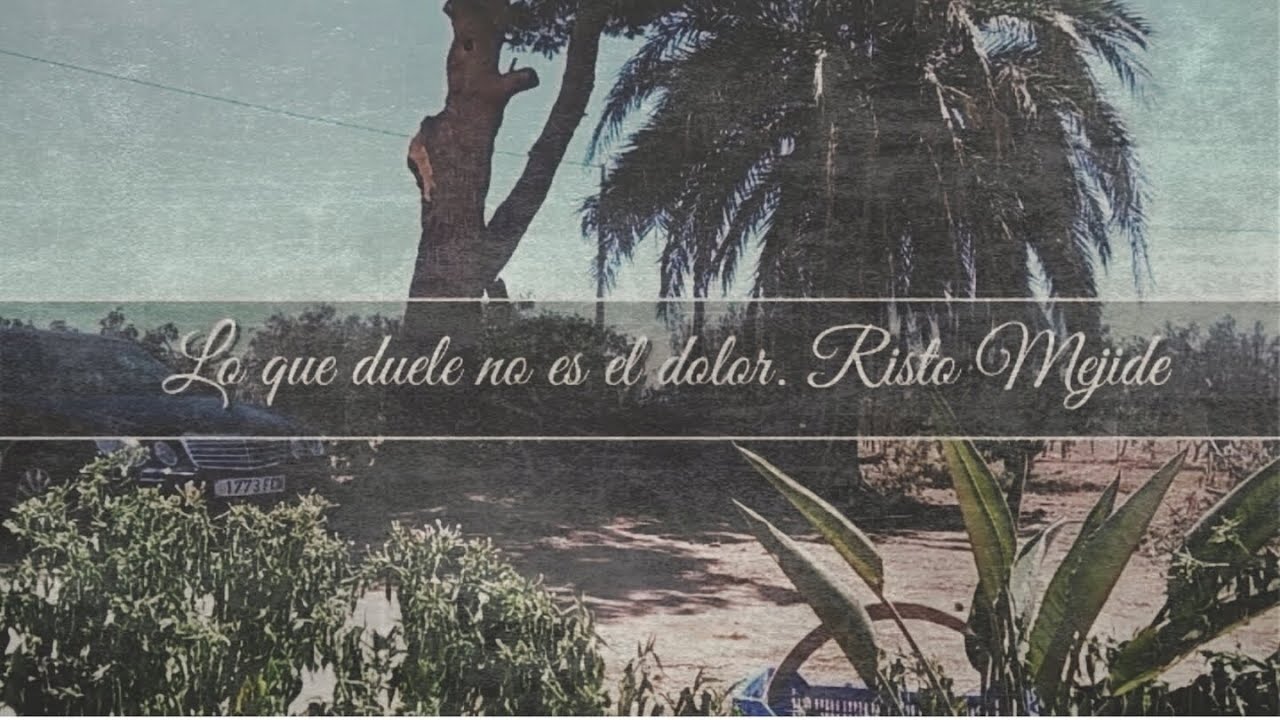 Lo que duele no es el dolor. Risto Mejide.