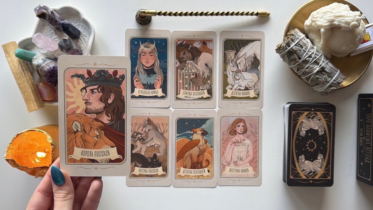 🍊June 15-June 21 Tarot weekly forecast for all zodiac signs