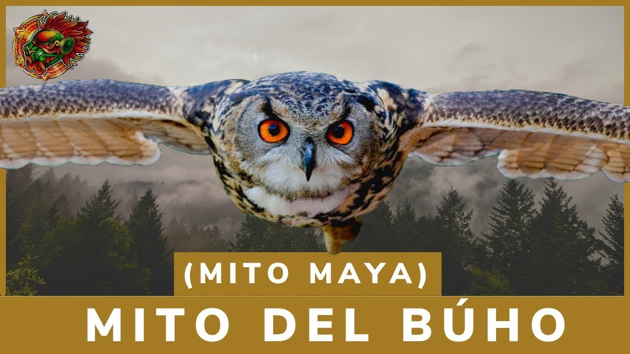El b&uacute;ho, el sabio consejero Mito Maya