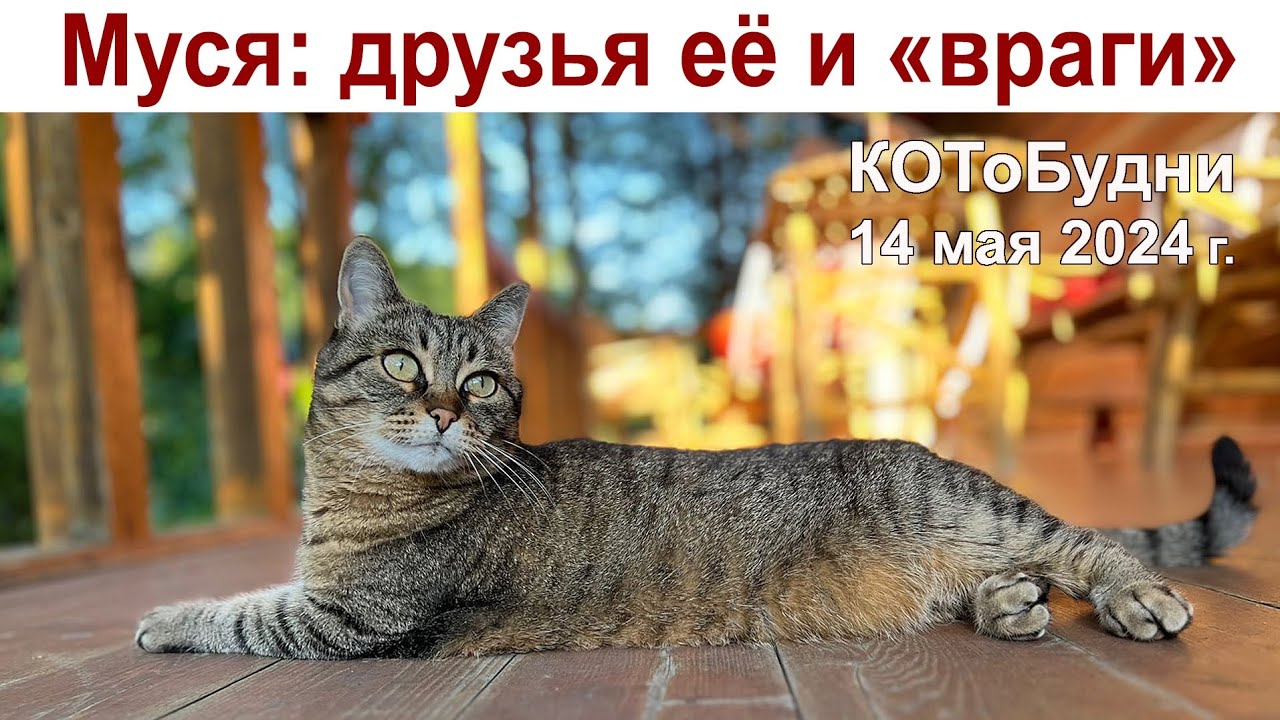 Жизнь наша и Муси... Сегодня Радоница - вспоминаем наших родных и близких...
