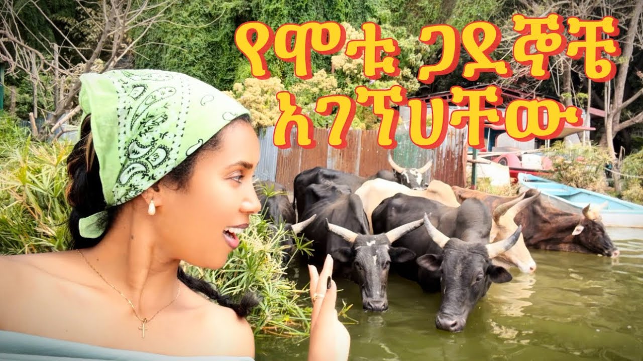 የሞቱ ጋደኞቼ አገኘሀቸው ደብረ ዘይት ላይ