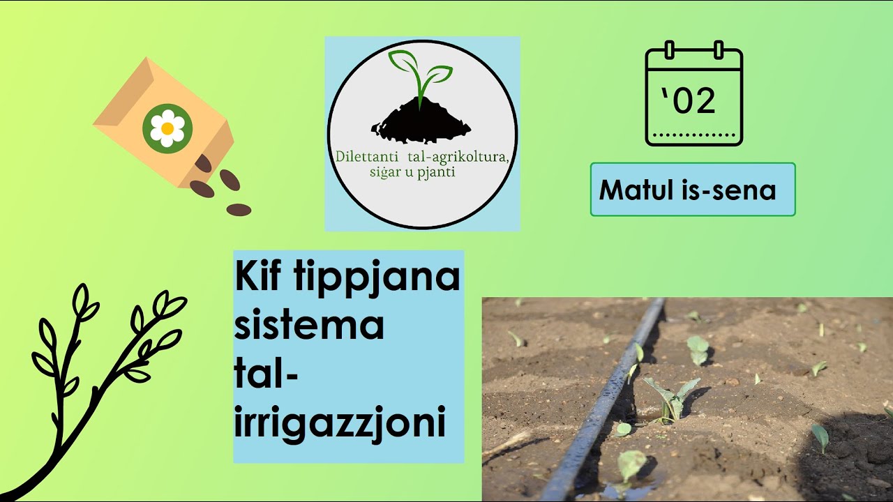 Kif tippjana sistema tal-irrigazzjoni