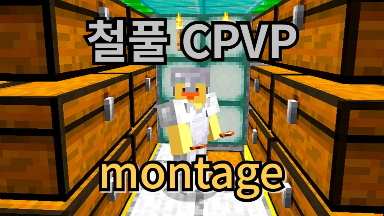 철풀의 첫 CPVP montage