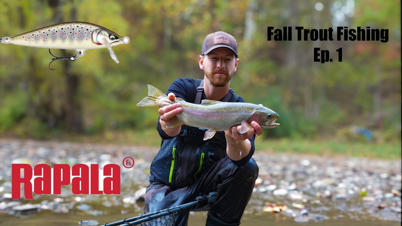 Ловля агрессивных осенних форелей на джеркбейт!! (Rapala Countdown Elite)