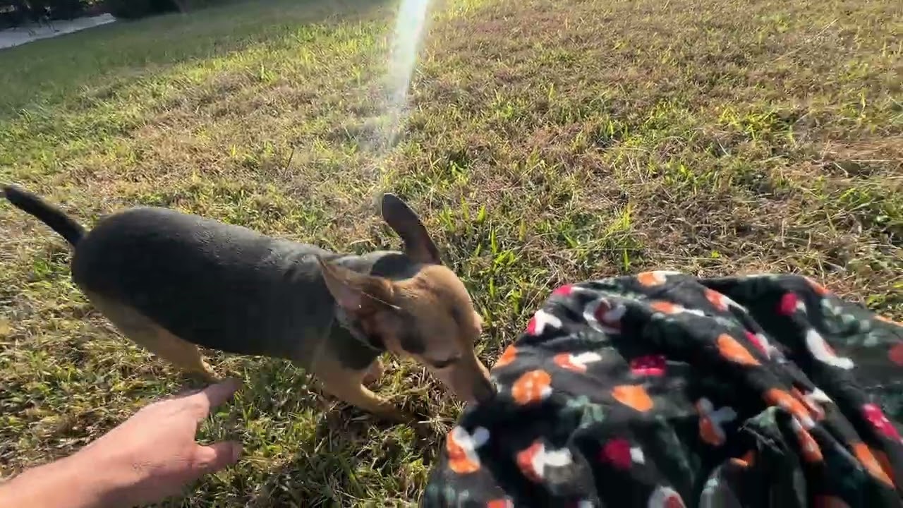 Mía dijo.. patitas pa que son 😍😂