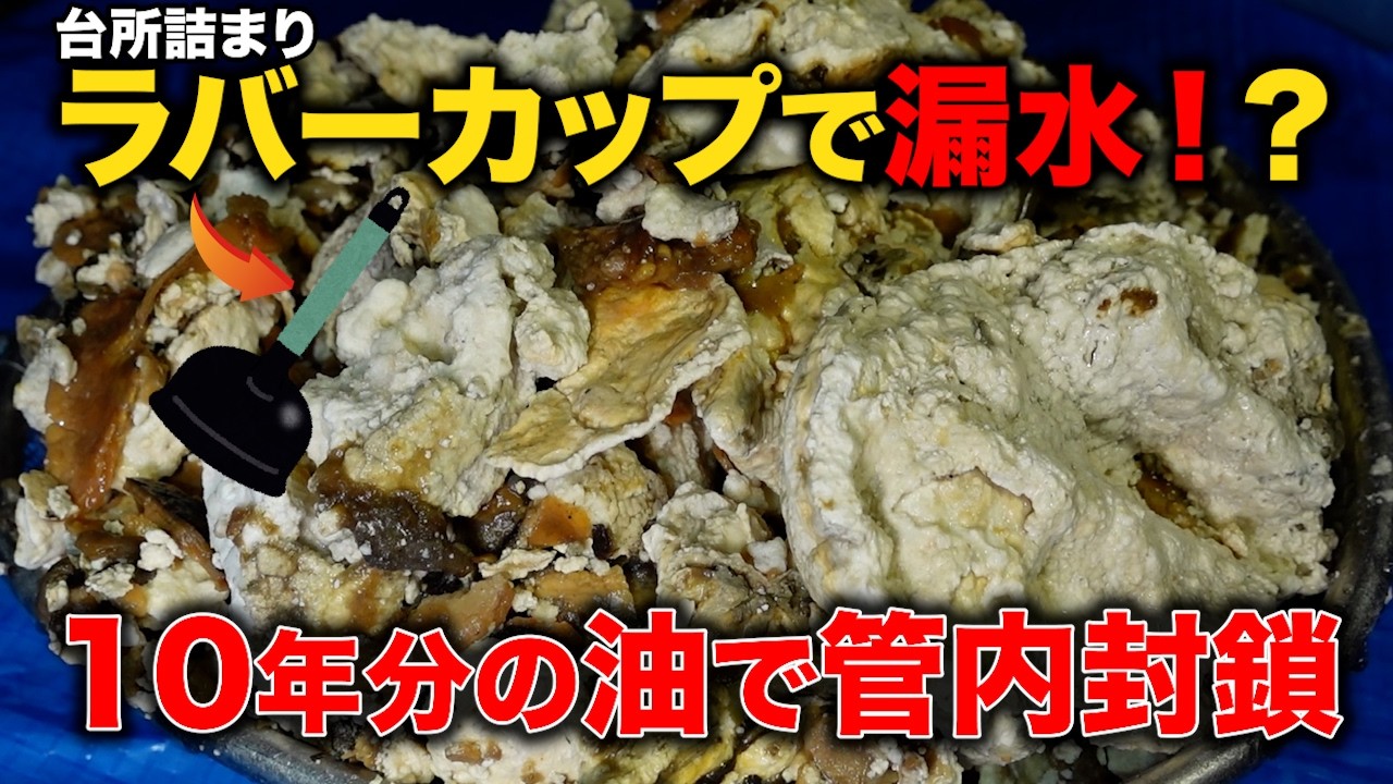 ラバーカップやったら大惨事！水を流すと台所下から水漏れ…築10年でこれ？油がどんどん出てきた【花のお掃除 #458】