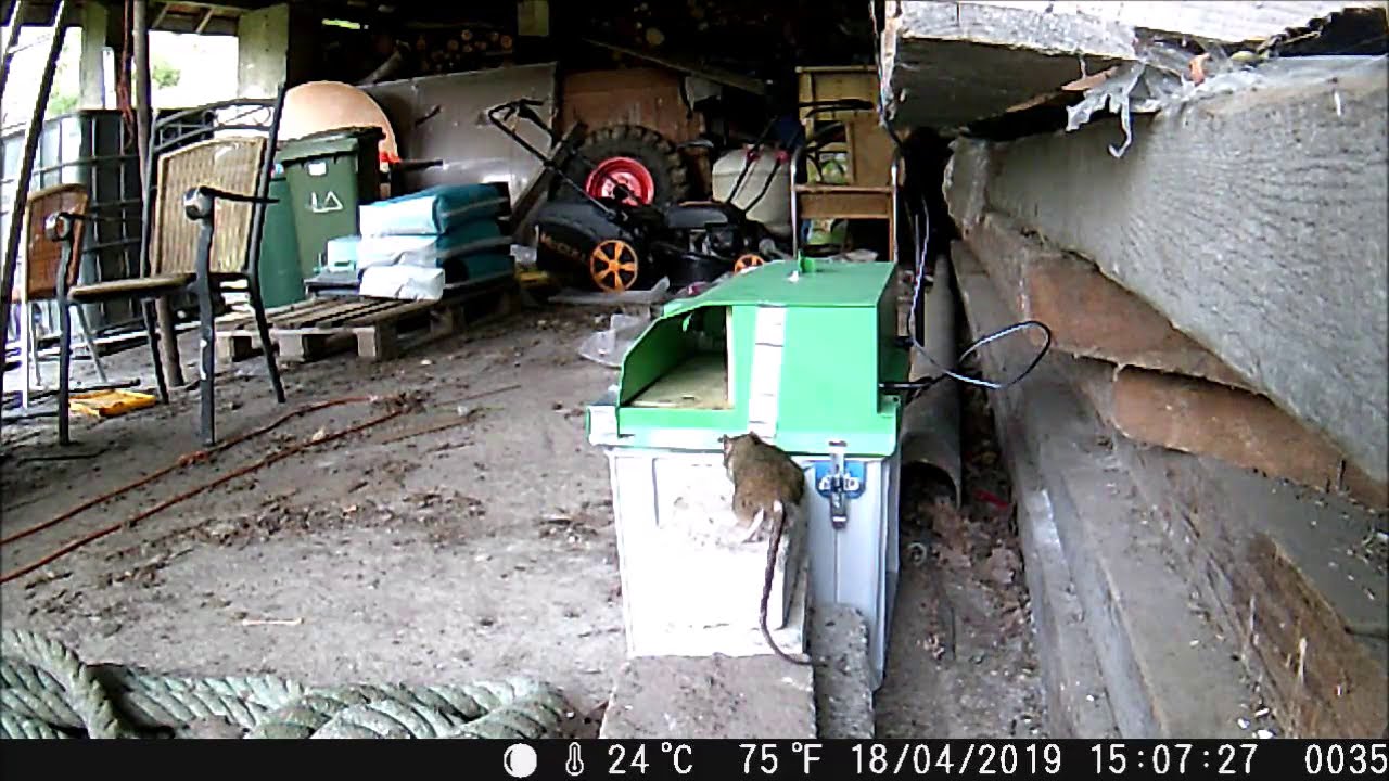 Strygoo SmarTrap Prototype  | Catch Action