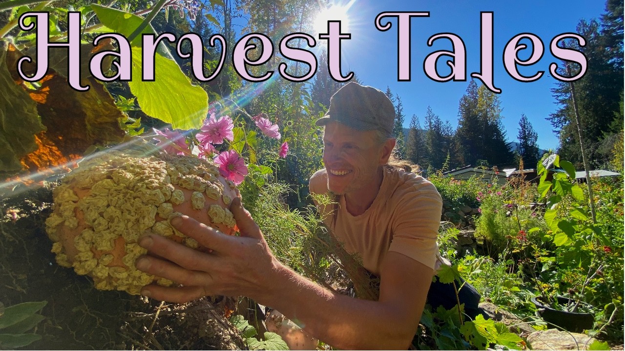 A Food Growing Journey
