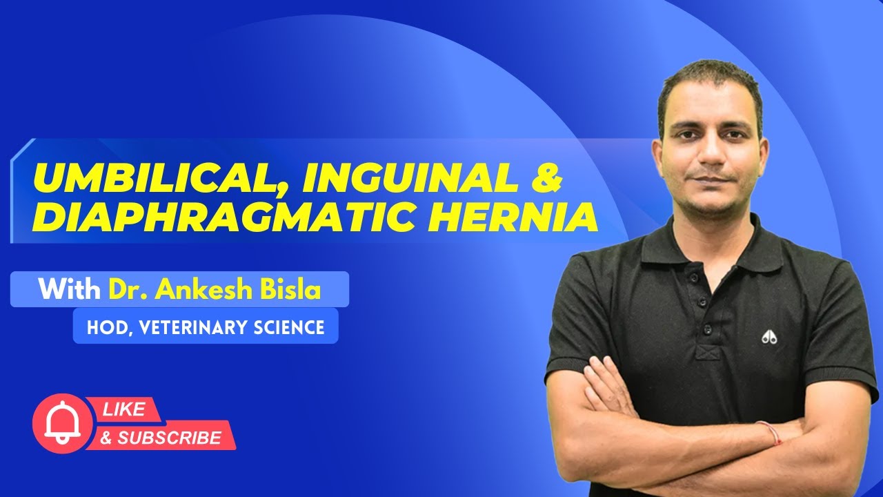 Umbilical, Inguinal & Diaphragmatic Hernia | By Dr. Ankesh Bisla | Wise IAS