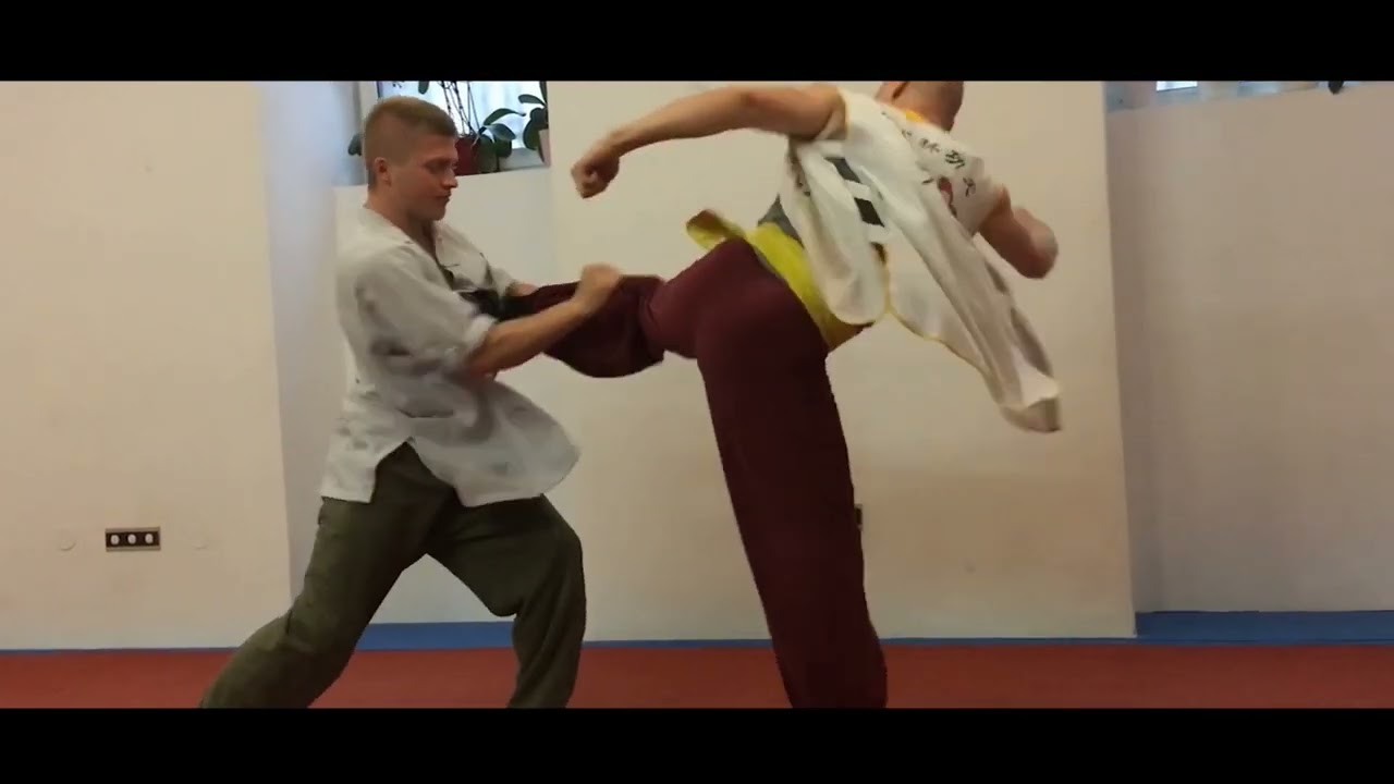 Shaolin Show Fight - 2017