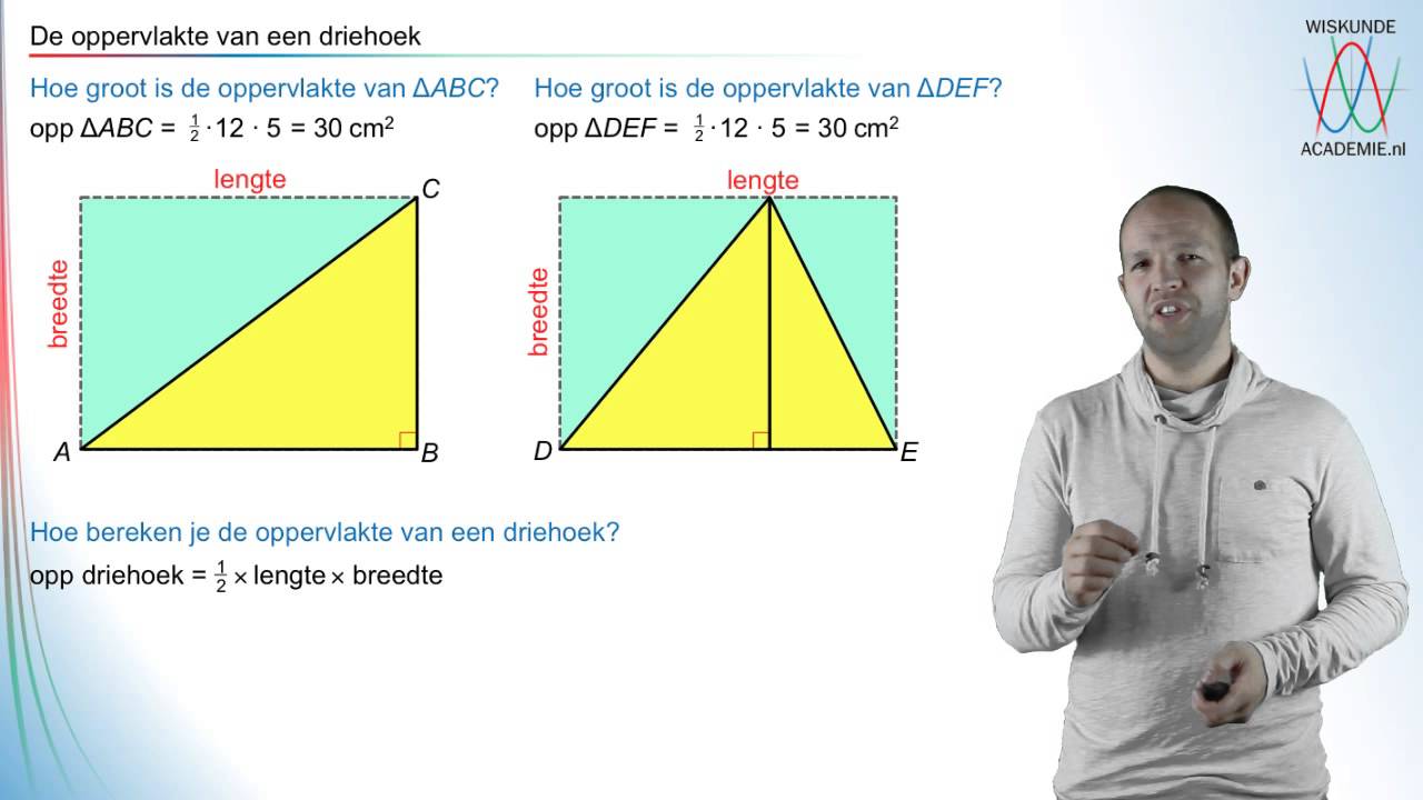 Driehoek - de oppervlakte van een driehoek - WiskundeAcademie