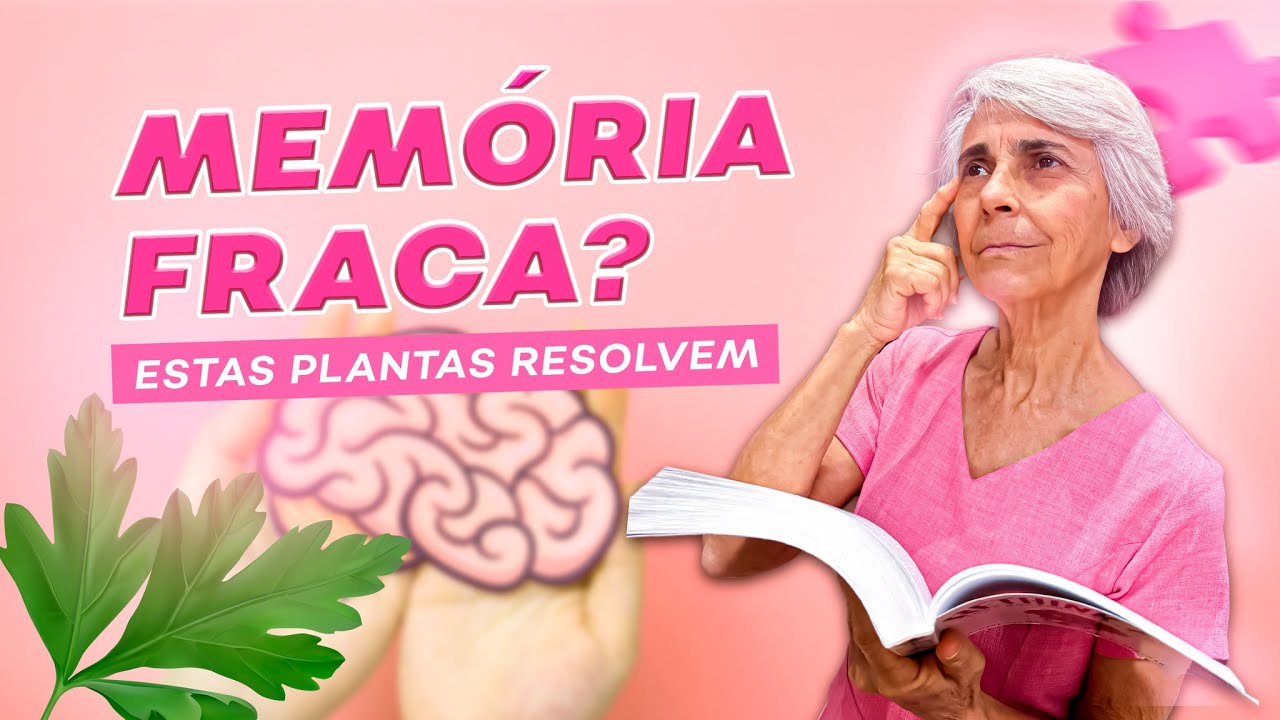 Memória fraca? Estas plantas ativam a sua memória!