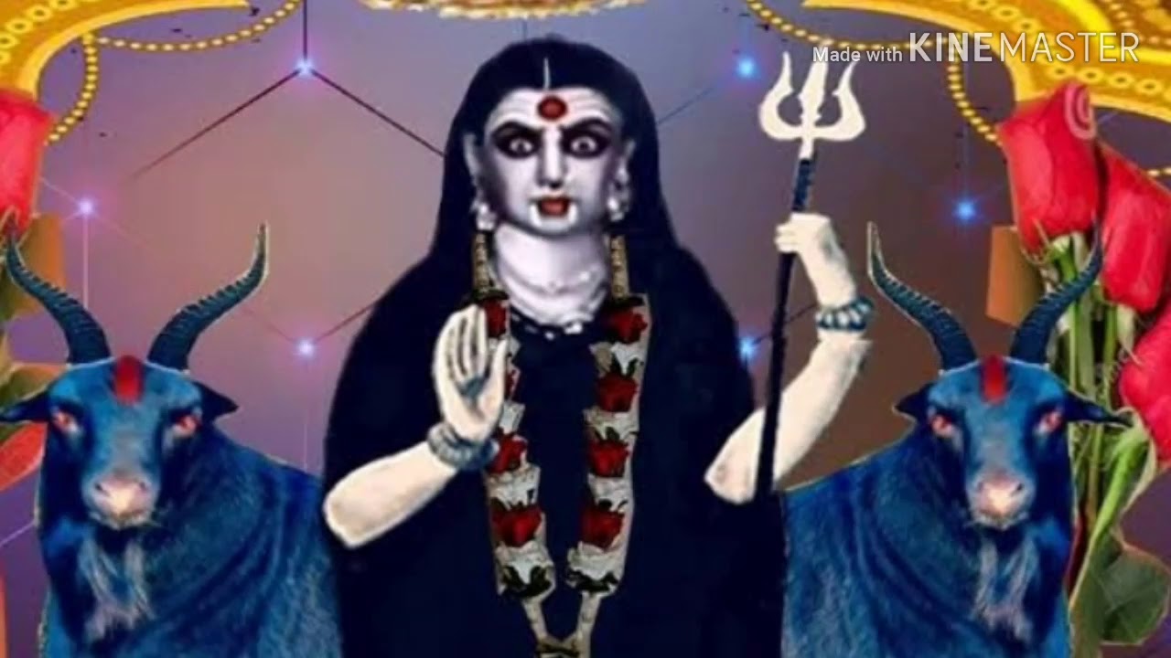 Jay Masani Meldi Maa || Masani Meldi New Video 2019 || રાજા Momai Official
