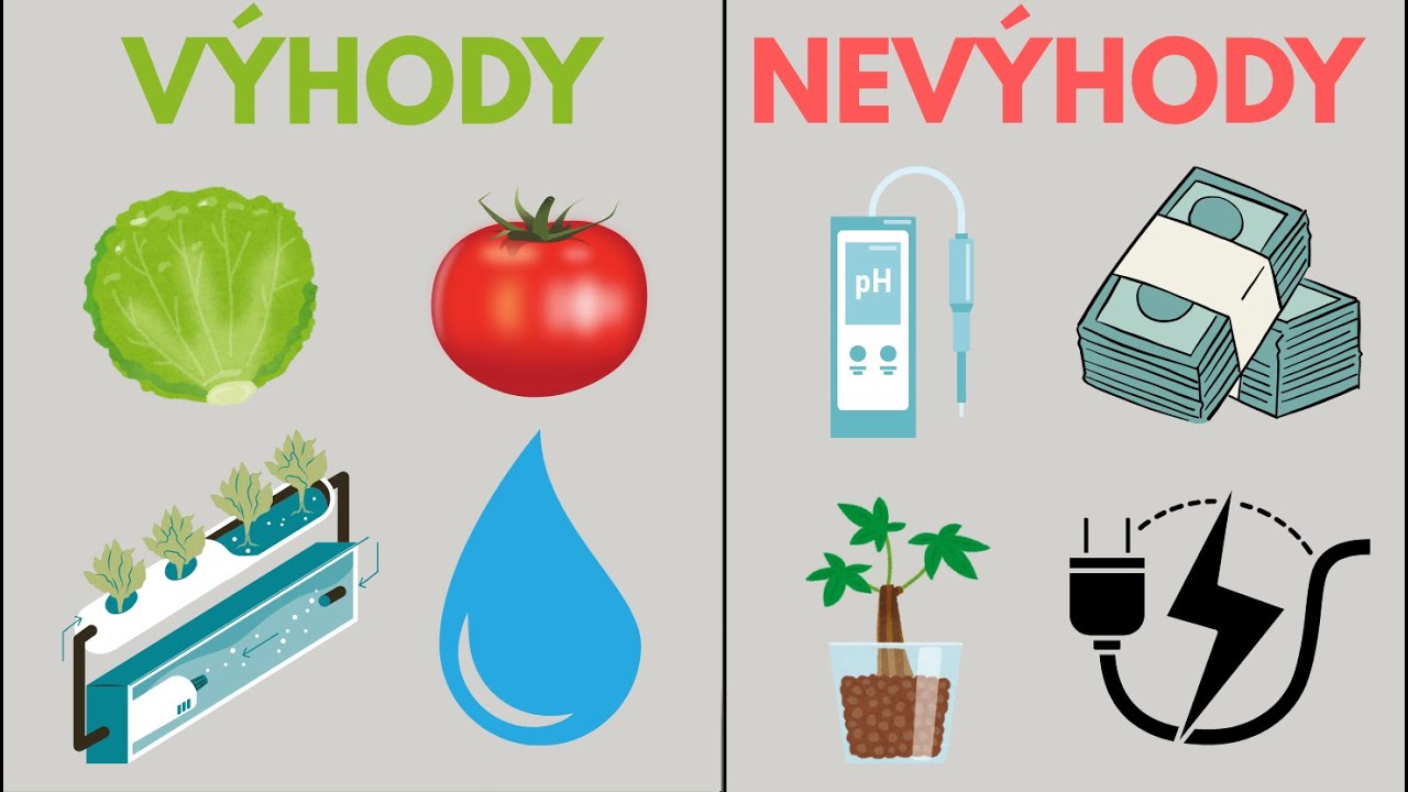 V&yacute;hody a nev&yacute;hody hydroponie &ndash; Vyplat&iacute; se pěstovat bez hl&iacute;ny? 🌱💧