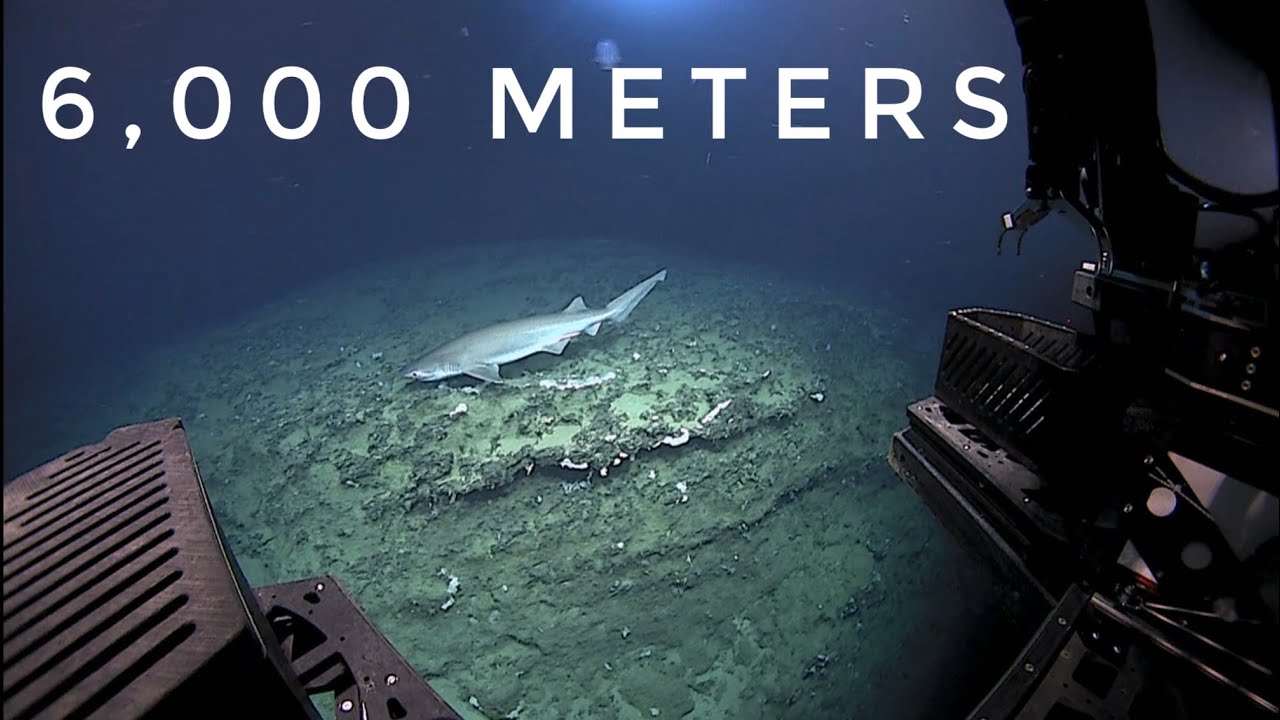 6,000 Meters Down: Exploring the Puerto Rico Trench