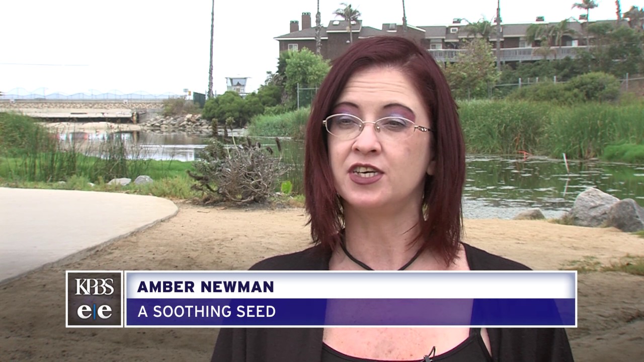 Commercial Cannabis Cultivation Could Be Boon For Oceanside Farmers
