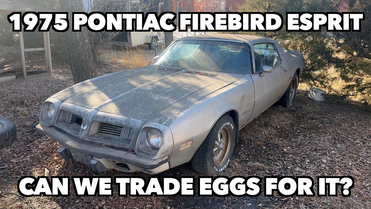 First Look at a 1975 Pontiac Firebird eSprit: Is It Worth The Rescue?