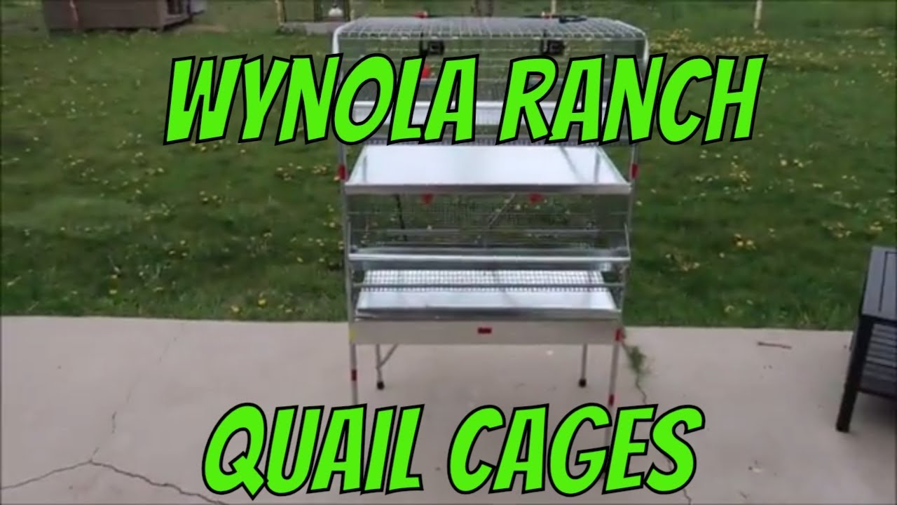 Wynola Ranch Quail Cages