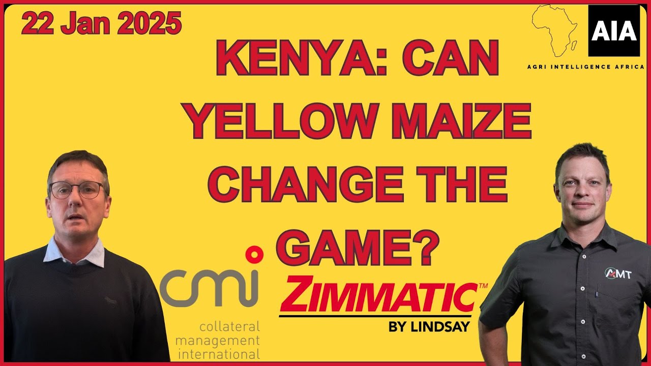 🇰🇪 Kenya: Can Yellow Maize change the game?African Report – 22 Jan 2026