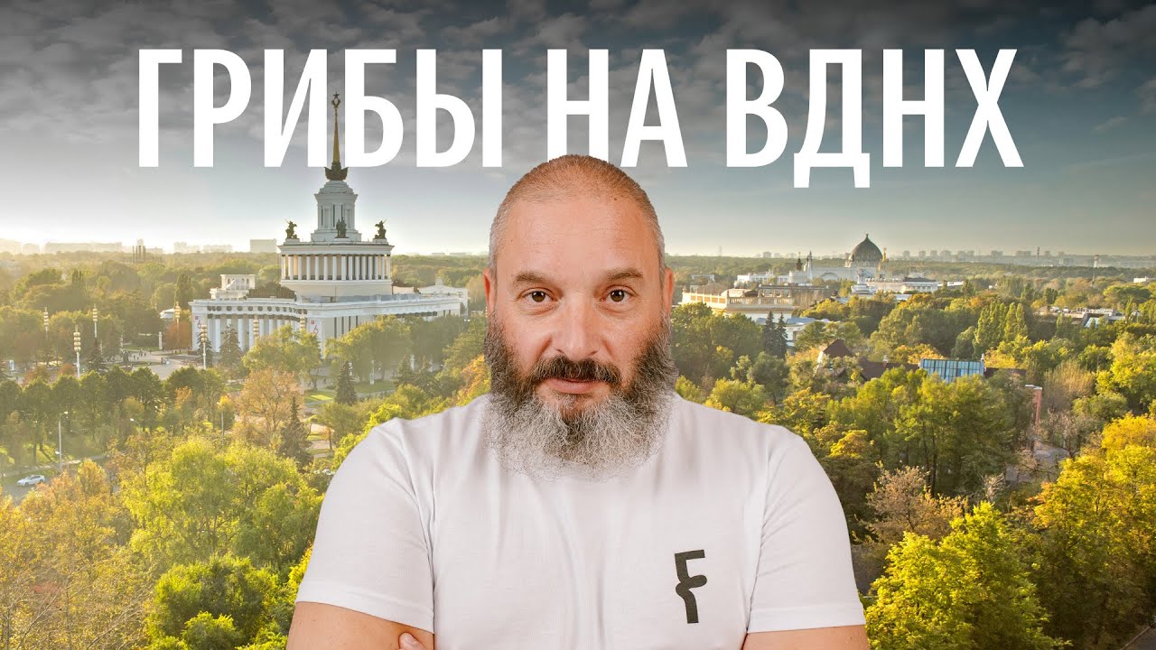 Шампиньон полевой, мухомор краснеющий, ложноопенок Кандолля. Грибы на ВДНХ. Михаил Вишневский