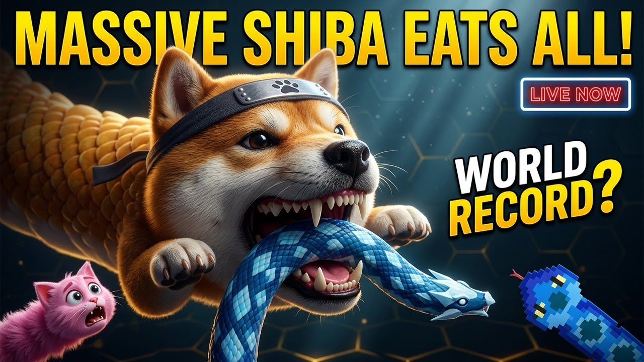 🔴 LIVE Snake.io 🐍 Biggest Snake Challenge! World Record Attempt 🏆