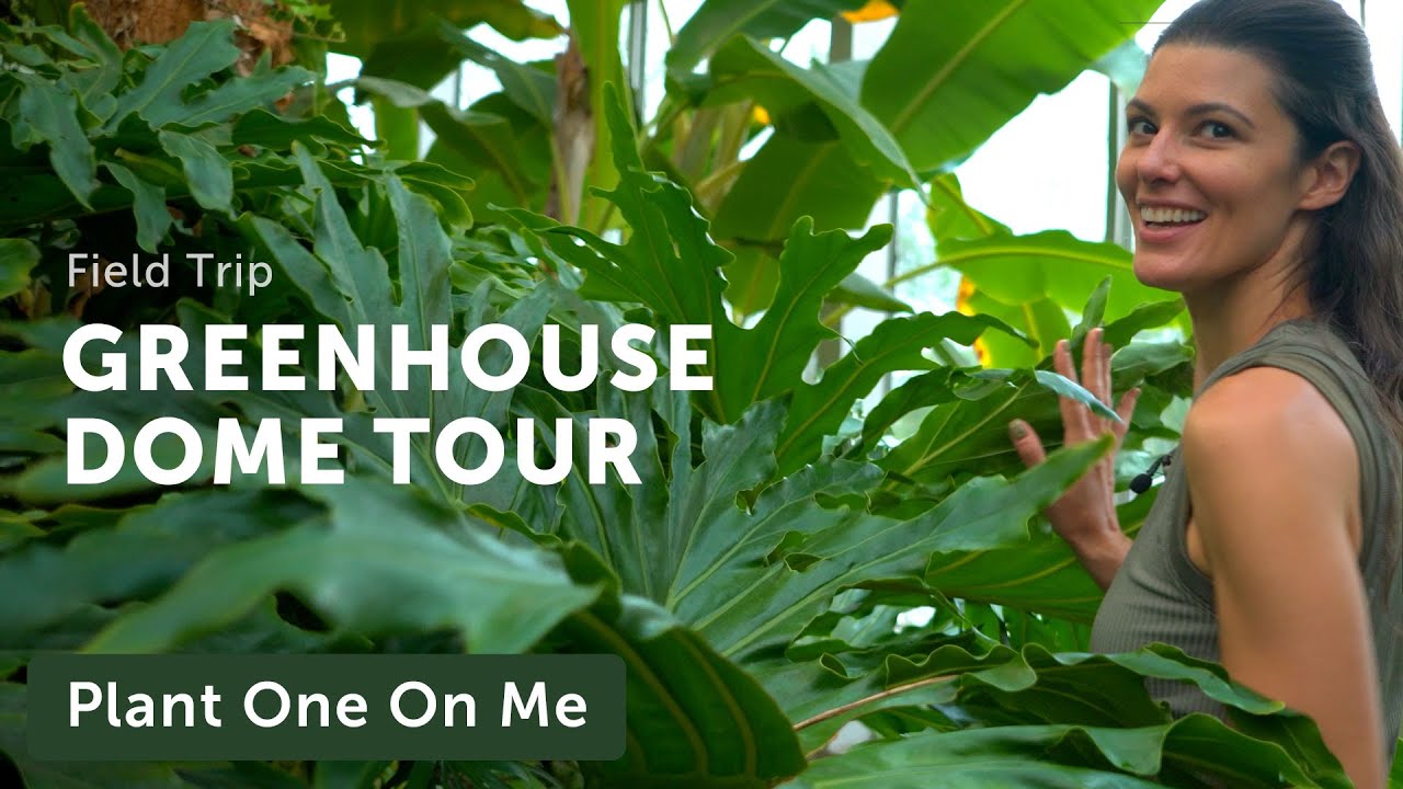 Out-of-this-World GREENHOUSE DOME TOUR in Upstate NY — Ep 212