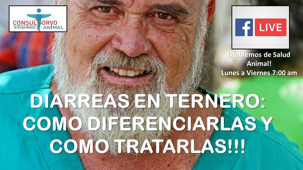DIARREA EN TERNEROS: COMO DIFERENCIARLAS Y COMO TRATARLAS