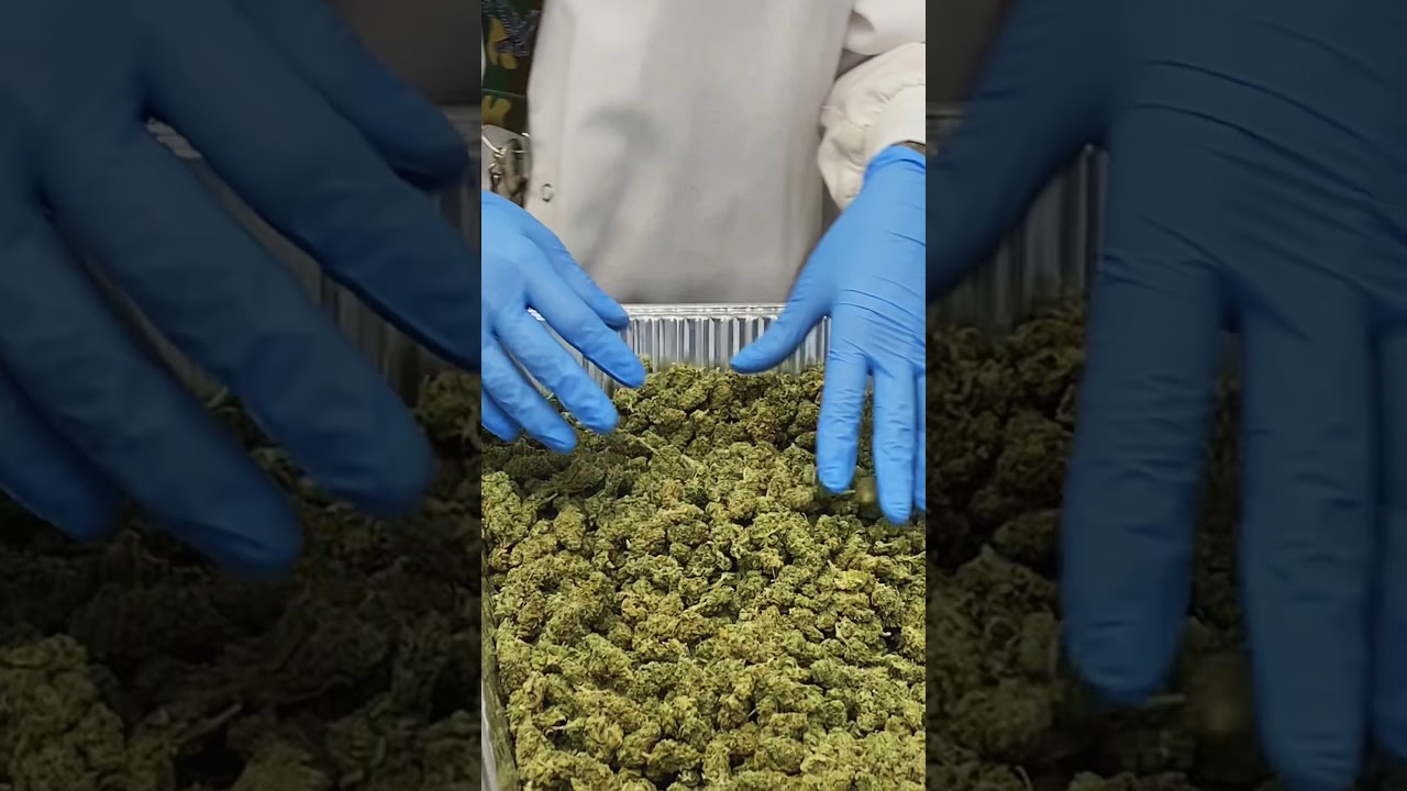 Finger trimming small buds