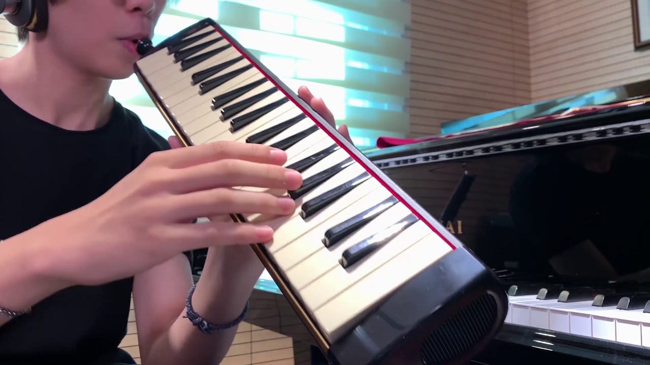 Isn't She Lovely - Melodion Ver.