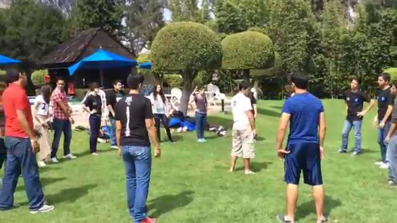 EL POLLITO