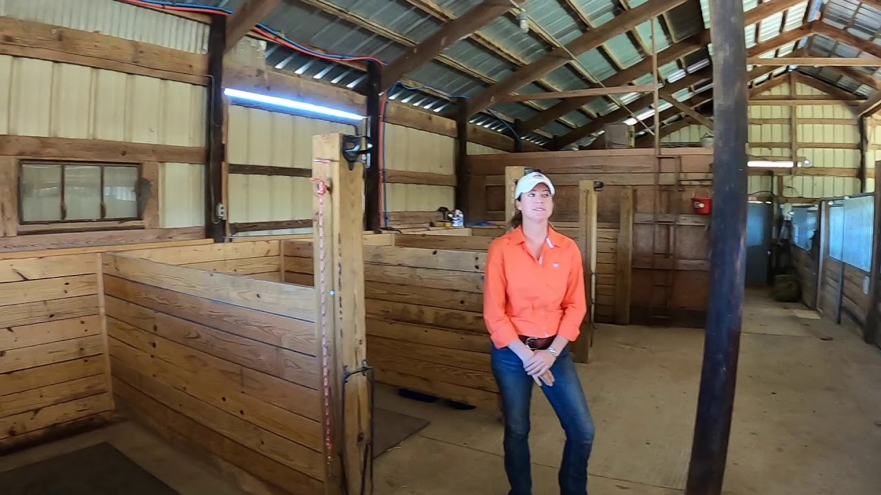 Clemson Equine Center Virtual Tour