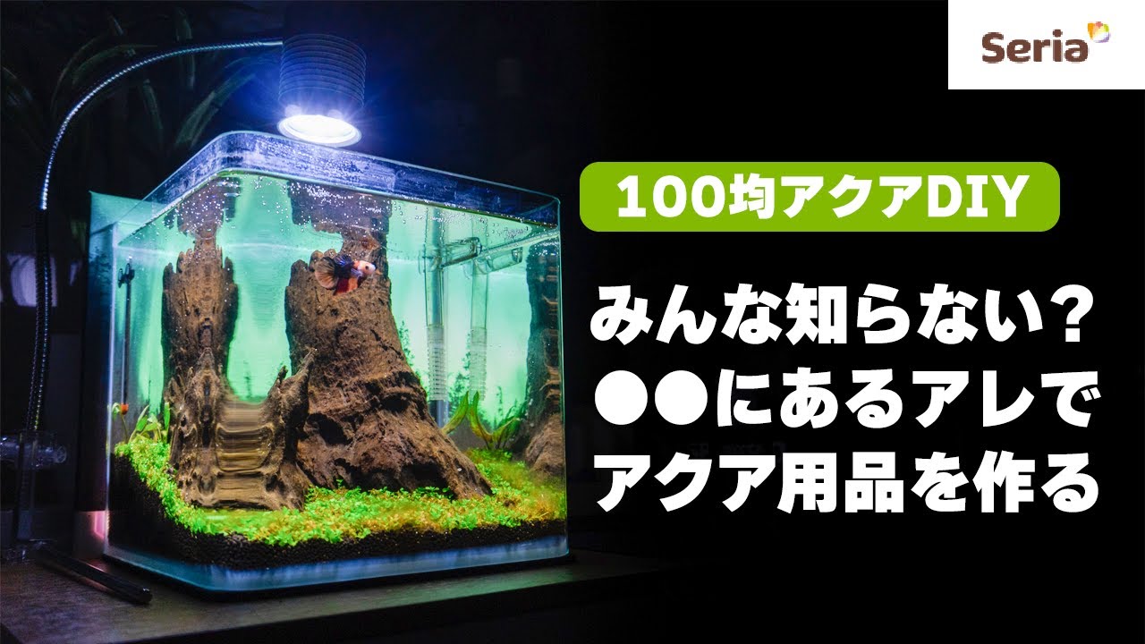 【100均アクア】セリアでバックスクリーンを作る！みんな見逃す意外なコーナーにあるあのアイテム【DIY】 - 4K #アクアリウム #100均 #セリア 【ビバアクア】