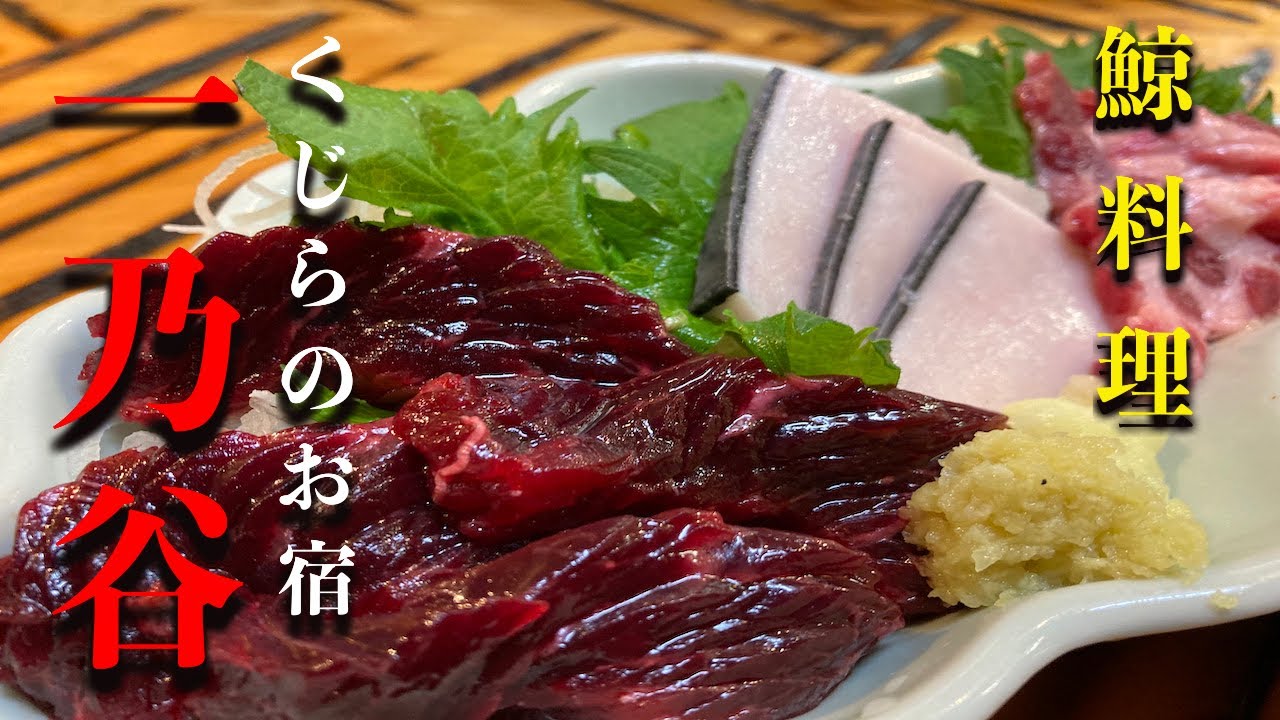 『くじらのお宿　一乃谷』にてクジラ料理を満喫。