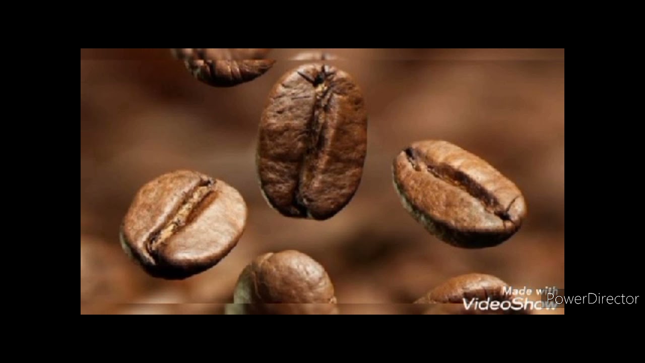 ቡና መጠጣት ሀጢያት ነው? አይደለም? 6 ነጥቦች አሉ ሰምተን ለመረዳት እንሞክር!!