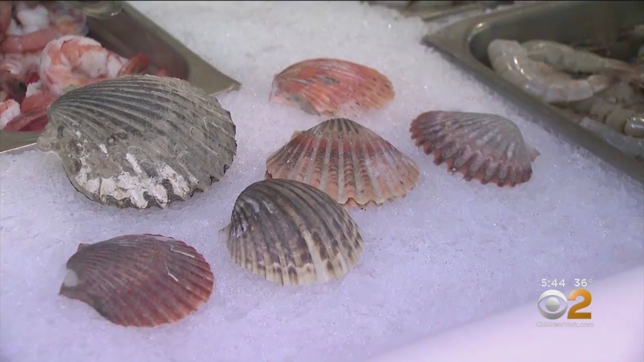Peconic Bay Scallop Season A Bust After Catastrophic Die-Off
