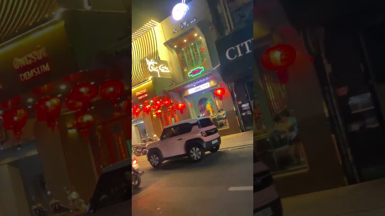 Video chợ Tết Quận 5 Hải Thượng Lãn Ông