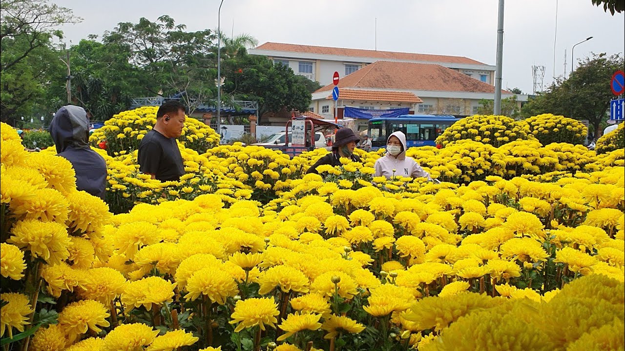 Giá hoa 25 tết công viên Gia Định: Cúc đại 12 tr/1 cặp, mai ghép bán rẻ vẫn không nhiều khách chốt